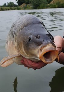 Quintons Orchard Carp Fish Farm UK