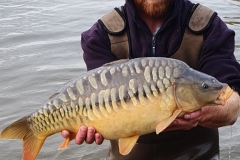 Quintons Orchard Fish Farm