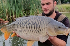 Quintons Orchard Fish Farm