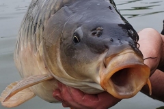 Quintons Orchard Fish Farm