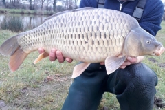 Quintons Orchard Fish Farm