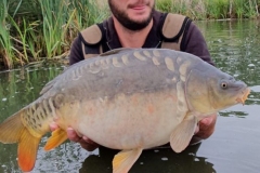 Quintons Orchard Fish Farm