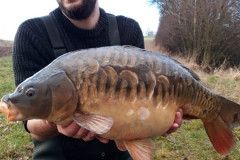 Quintons Orchard Fish Farm