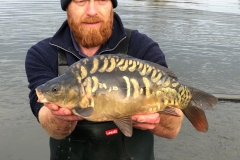 Quintons Orchard Fish Farm