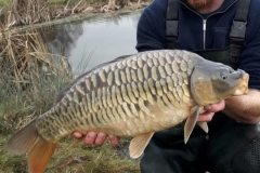 Quintons Orchard Fish Farm