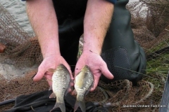 Quintons Orchard Fish Farm