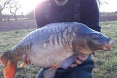 Quintons Orchard Fish Farm