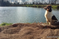 Quintons Orchard Fish Farm