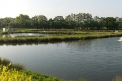 Quintons Orchard Fish Farm