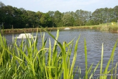 Quintons Orchard Fish Farm