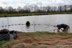 Quintons Orchard Fish Farm