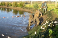 Quintons Orchard Fish Farm