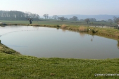 Quintons Orchard Fish Farm