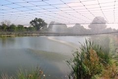 Quintons Orchard Fish Farm