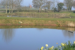 Quintons Orchard Fish Farm