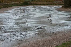 Quintons Orchard Fish Farm Carp