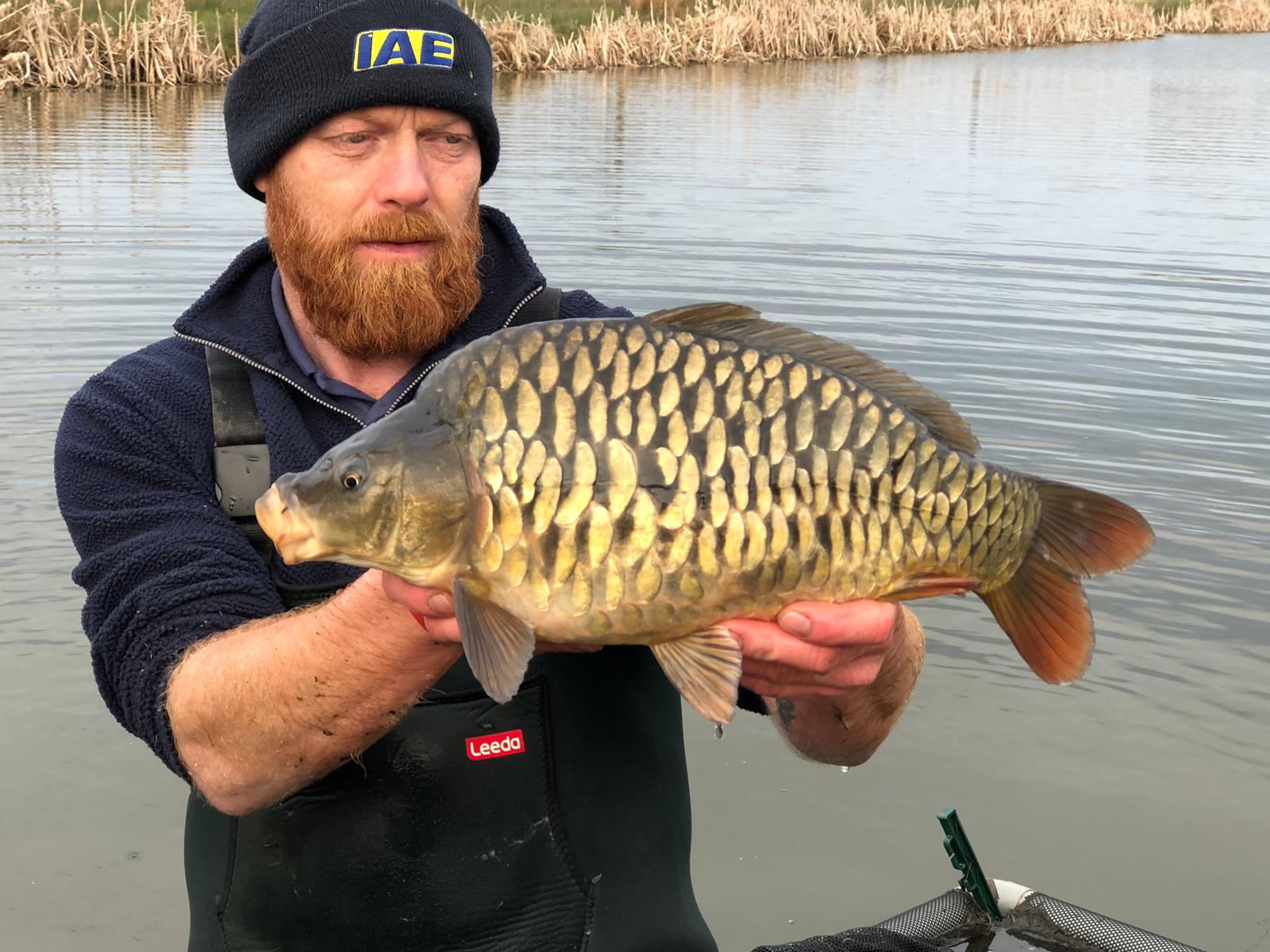 Carp Fish Farm UK - Quintons OrcharD Carp Fish Farm